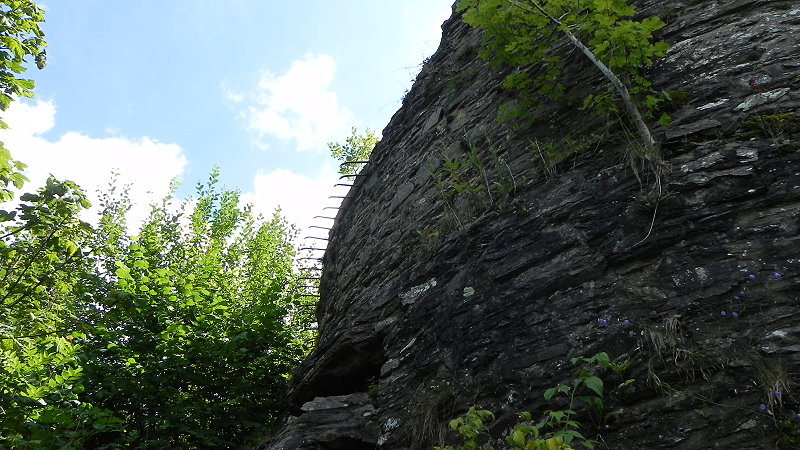 DSCN6329a