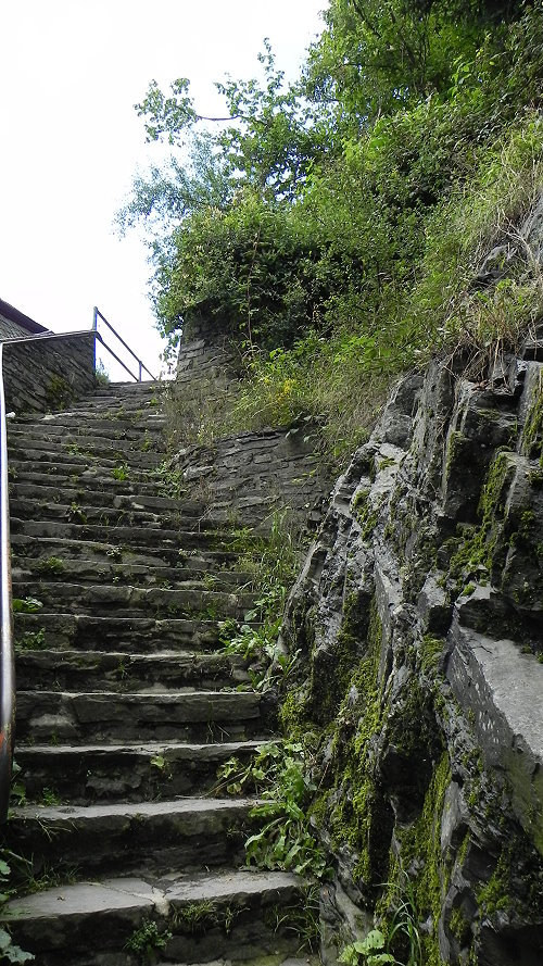 DSCN6335a