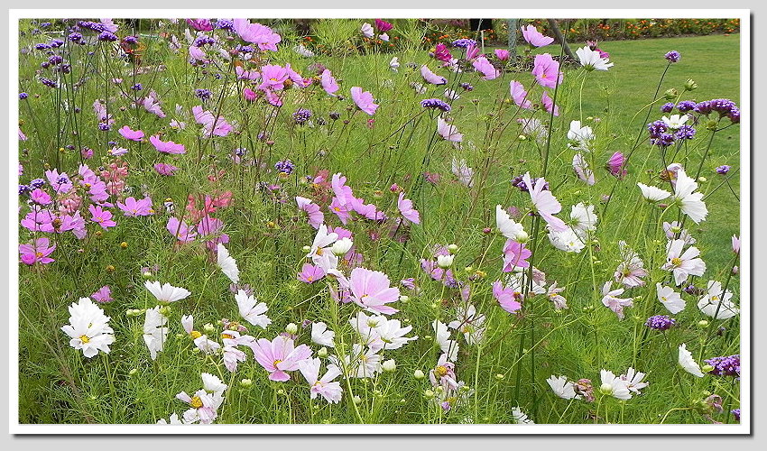 DSCN6353ab