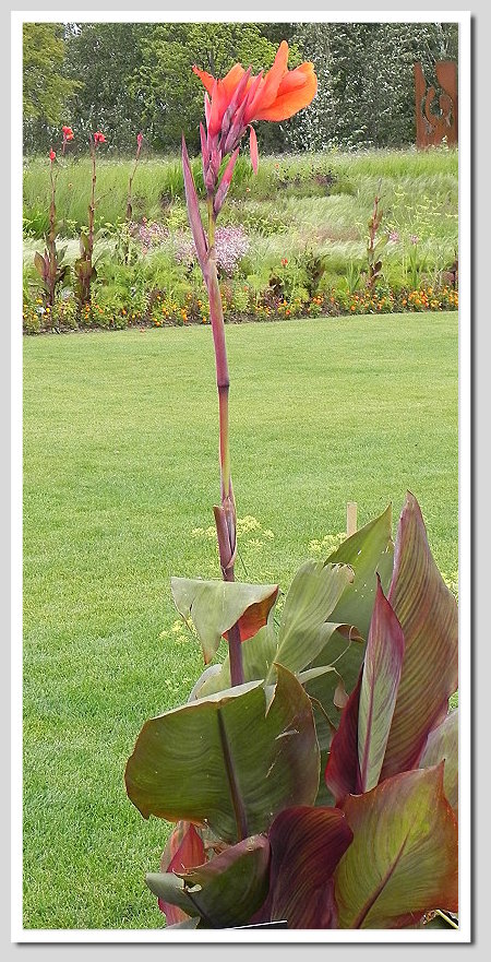 DSCN6354ab