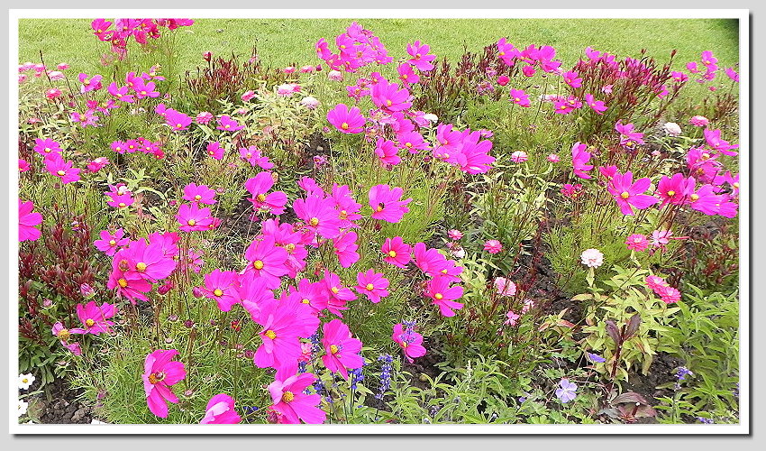 DSCN6357ab