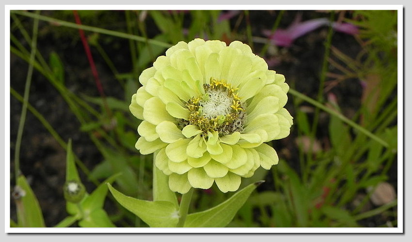 DSCN6359ab