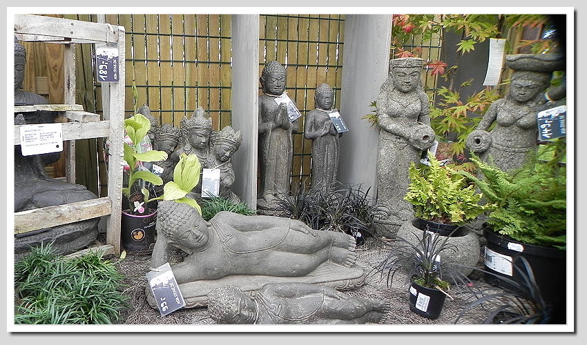 DSCN6368ab