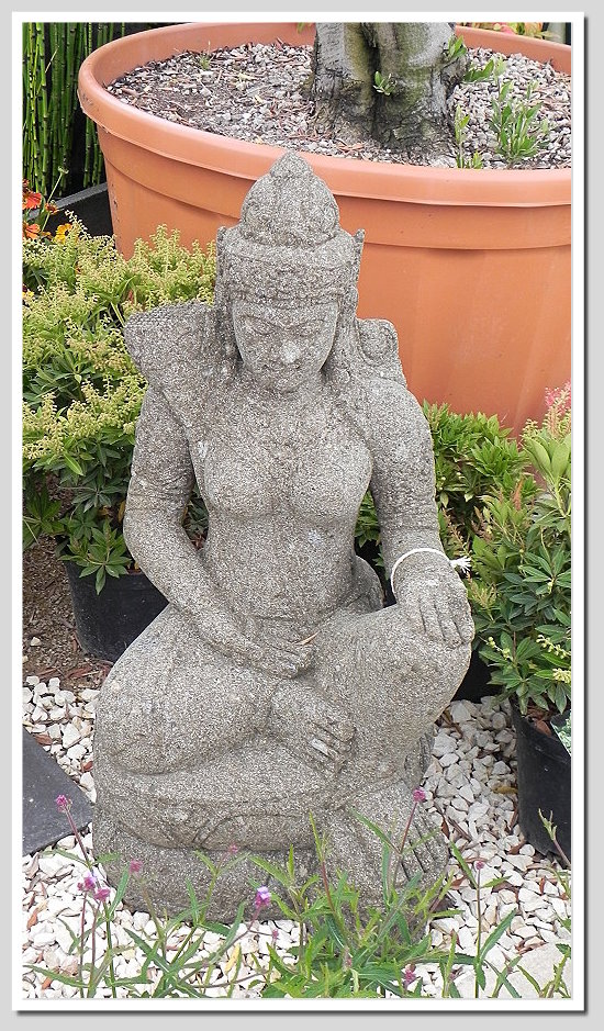DSCN6370ab