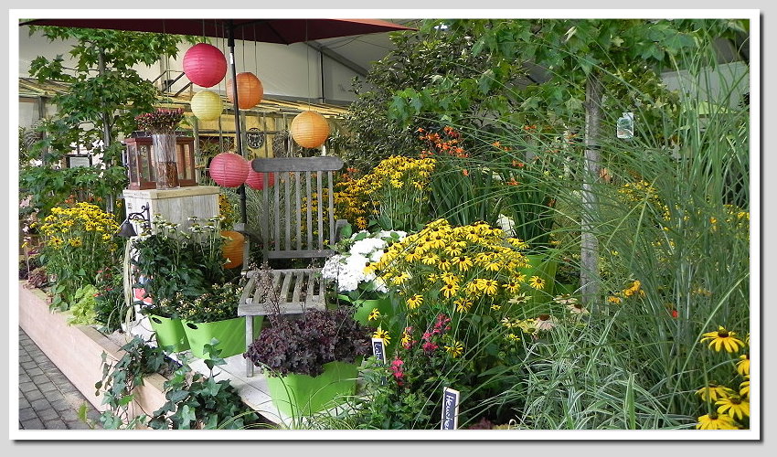 DSCN6378ab