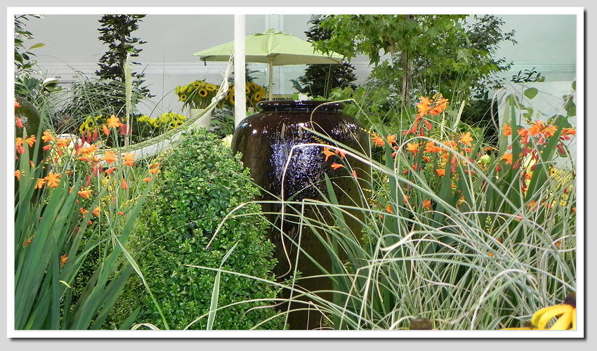 DSCN6379ab