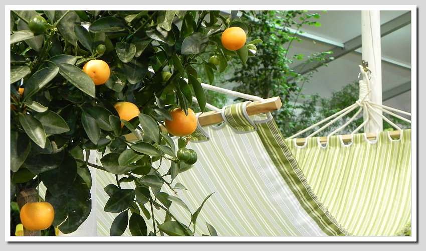 DSCN6383ab
