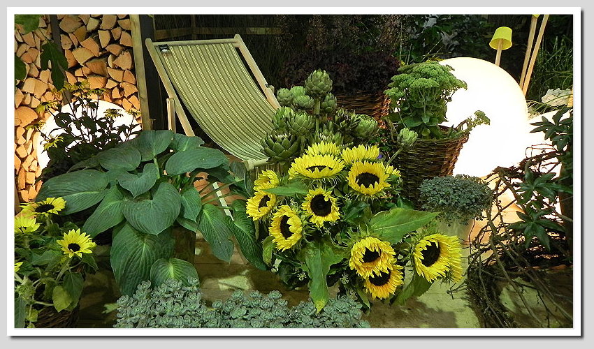 DSCN6387ab