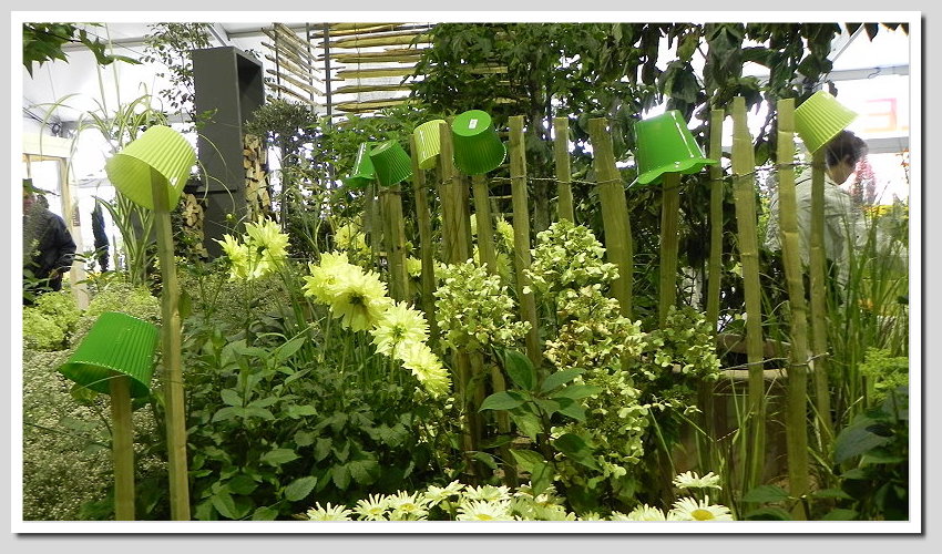 DSCN6389ab