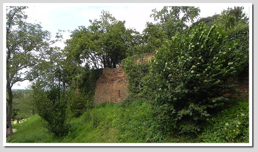 DSCN6496ab