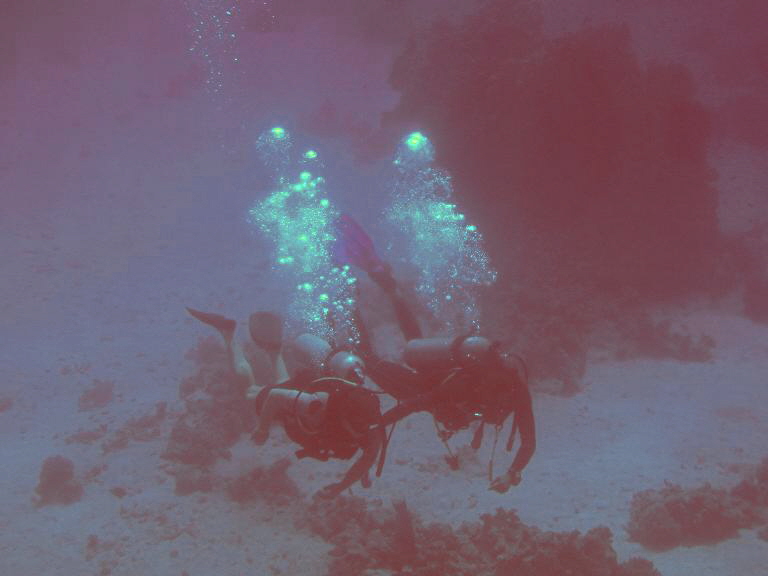 CIMG0274a02